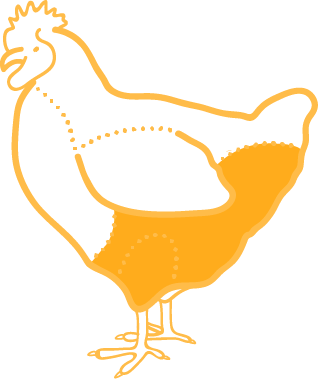 Pulpa de pui intreaga