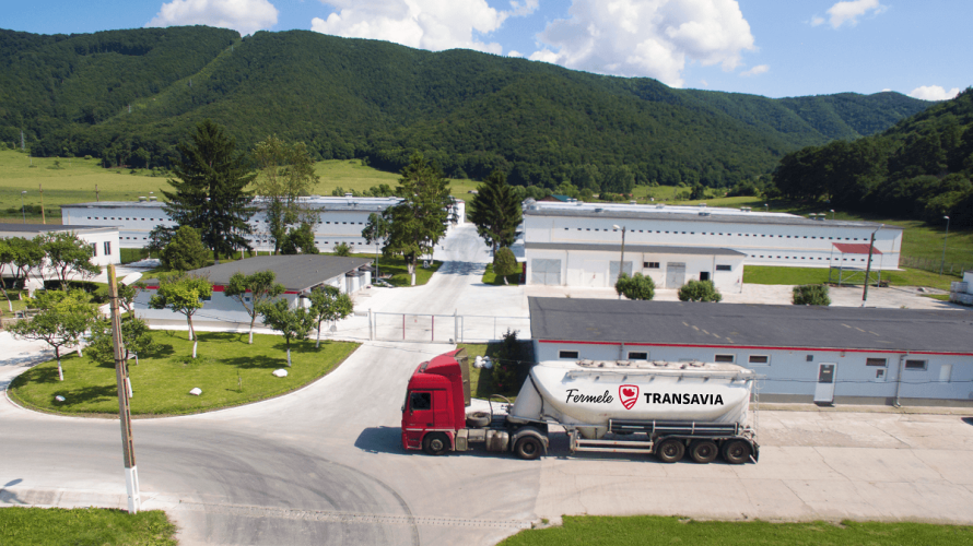 Electrician întreținere și reparații